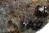 Gemmy Orange Sphalerite Crystals on Quartz - China #353595-1